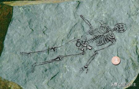 如果有一天人类和外星人接触,发现外星人和人类外貌相似并且没有生殖隔离,这会对人类文明产生哪些影响？