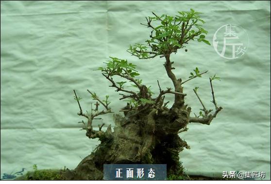 培新机械:工业机器人专业有哪些就业方向？