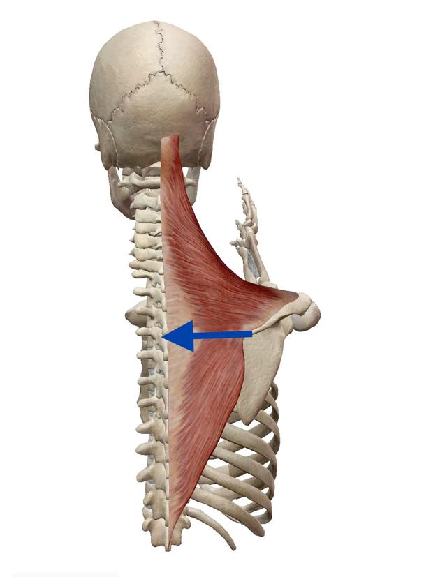 颈椎病导致的手臂肌肉酸痛怎么快速恢复
