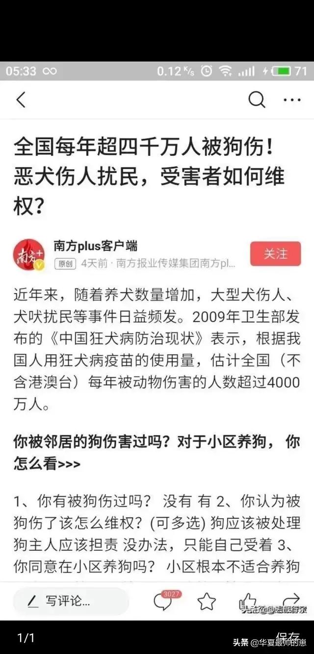 那些区域禁止养犬？犬伴侣知道嘛？