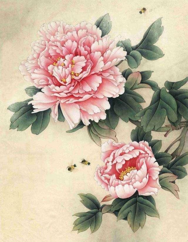 红耳鹎白描写生图片:美术课堂上你想换一种什么样的形式来上？