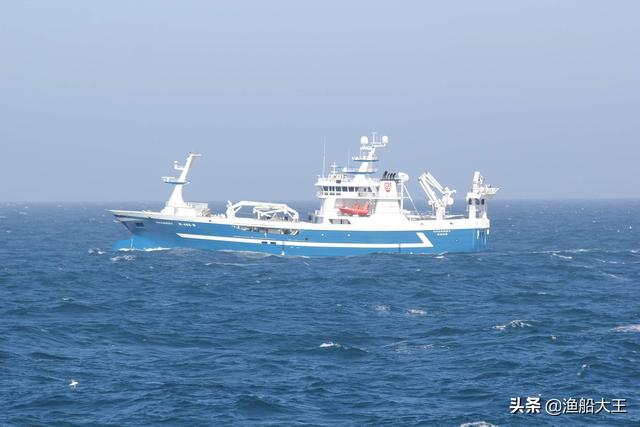 雷达鱼群游:雷达鱼群游吗 在自然水域垂钓时，如何根据水库地形选择钓位？