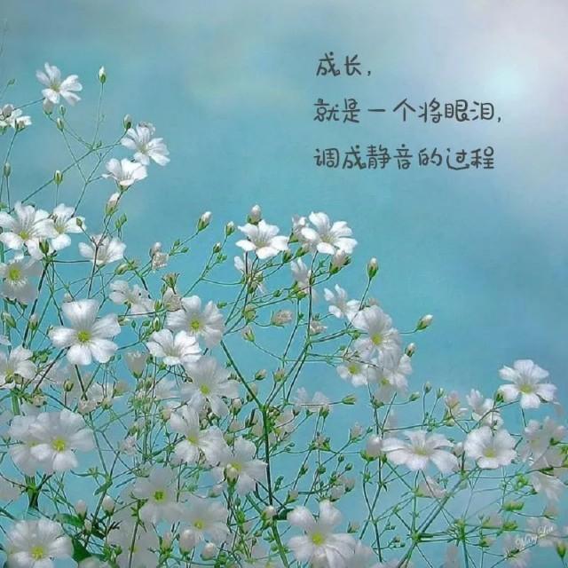 描写<a href=https://maguai.com/list/55-0-0.html target=_blank class=infotextkey>生活</a>的句子简短:能不能用一句话糙理不糙的句子来形容你现在的<a href=https://maguai.com/list/55-0-0.html target=_blank class=infotextkey>生活</a>？