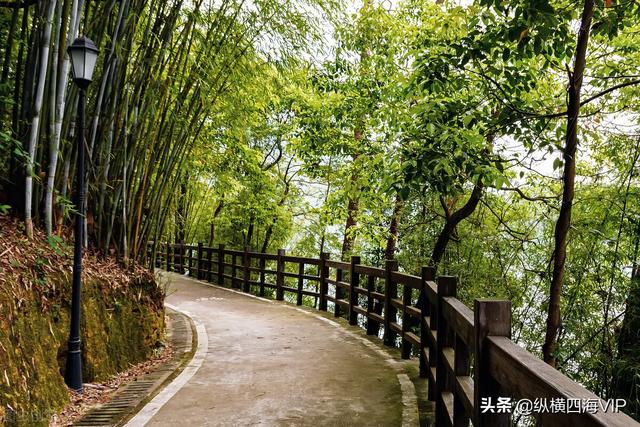 广州市流溪河国家森林公园管理处