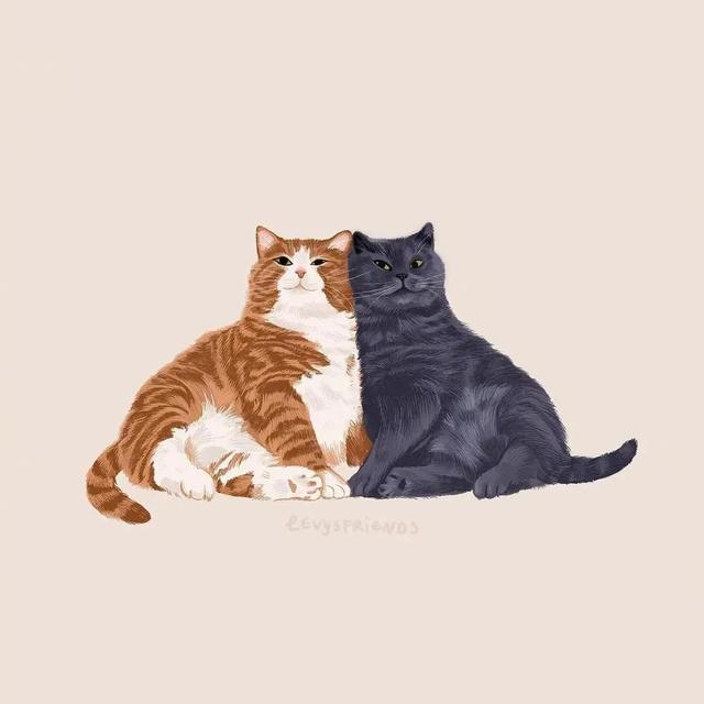 neargo子猫絮语:冬天，怎样才能让日子暖起来？