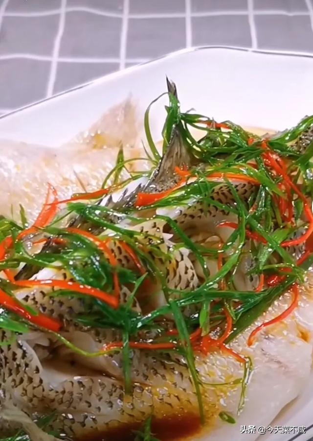 四川的清蒸鱼用什么鱼好:清蒸鱼头用什么鱼头最好？