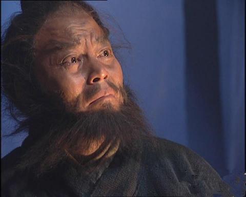荡寇志的作者:有没有人看过，荡寇志这本书？