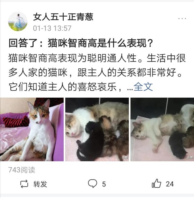 监考猫:大学生线上考试老师如何监考？