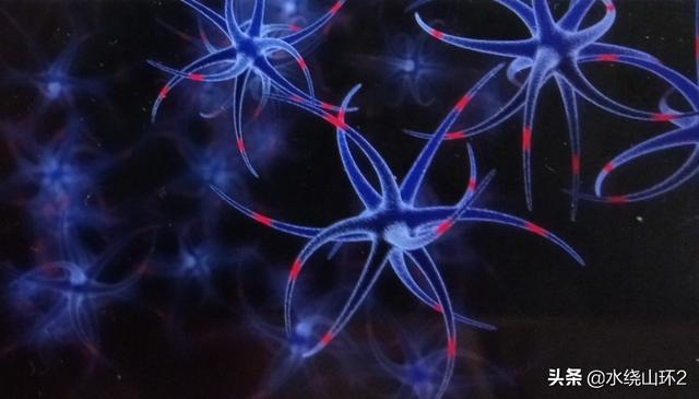 神经遗传病有哪些症状:神经病是指什么？情绪不好会得病吗？
