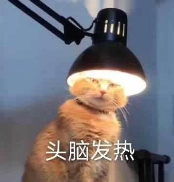 风靡<a href=https://maguai.com/list/256-0-0.html target=_blank class=infotextkey><a href=https://maguai.com/list/256-0-0.html target=_blank class=infotextkey>朋友圈</a></a>的小瓶子,互动升级版:2020最火的<a href=https://maguai.com/list/48-0-0.html target=_blank class=infotextkey><a href=https://maguai.com/list/48-0-0.html target=_blank class=infotextkey>游戏</a></a>有哪些？