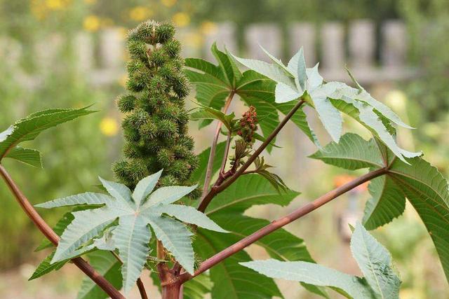钱币市场滴水滚珠局:如何看待乞讨老太超市换零钱诬陷少给，不看监控就闹事要钱？