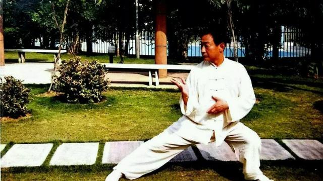 太极雀不飞是什么:什么是太极的“不丢不顶”？