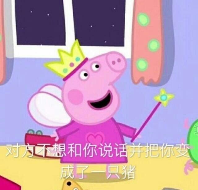 茶杯猪图片欣赏:在北京养一头猪是什么体验？ 茶杯猪图片