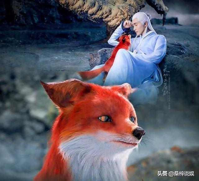 头条问答 - 十里桃花和枕上书中白凤九为啥总是有时候变回狐狸?