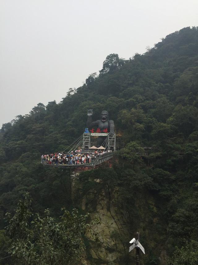 空中玻璃走廊:清远古龙峡拥有12项世界认证记录是么