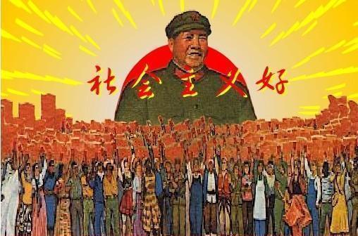 今日巴西夫妇绿水蚺:为什么有人说森蚺不攻击人类？