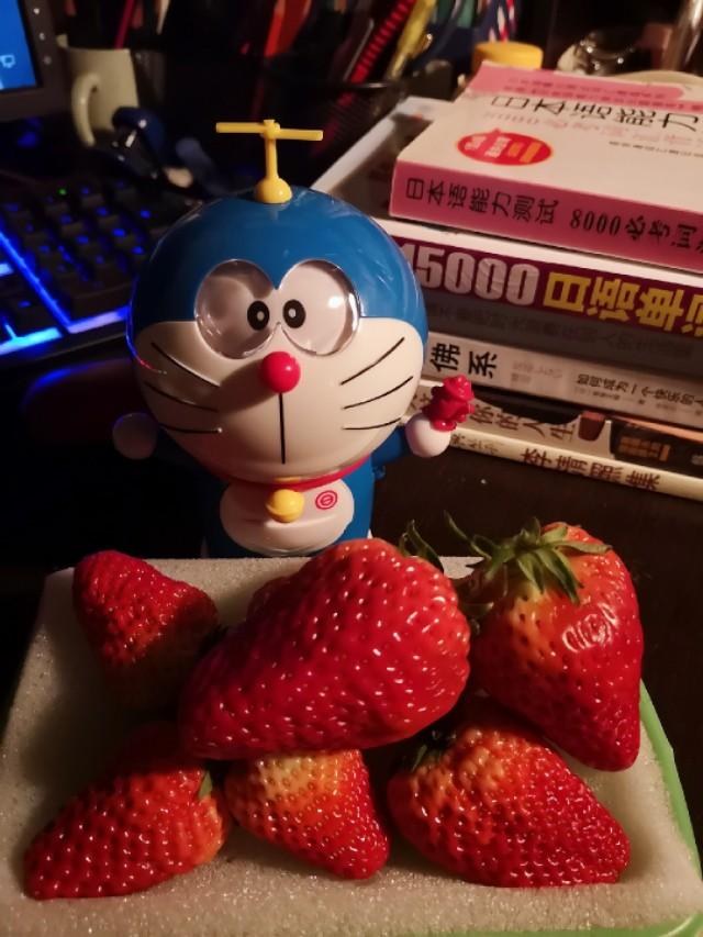 有哪些动画让你觉得百看不厌？