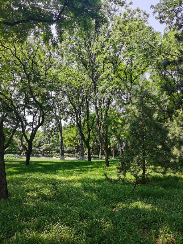 莫高窟可以拍照吗:七月底去西北旅游要带哪些东西（主要去青海敦煌兰州）？