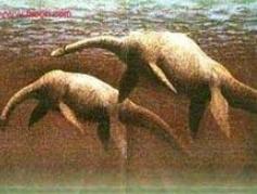 刚果恐龙:世界各国都有哪些水怪传闻？