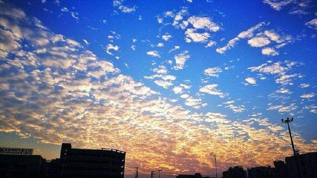 海琪的天空:对于梅艳芳的情感经历，你怎么看