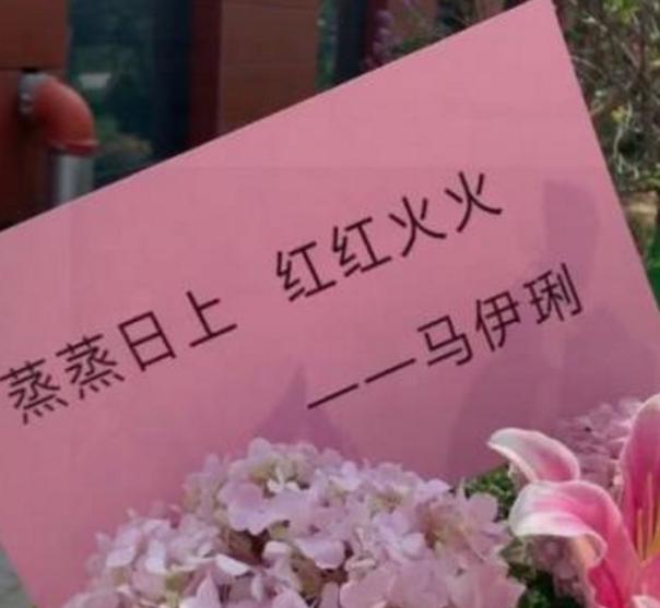 高云翔董璇结婚:与高云翔离婚后董璇现状如何？