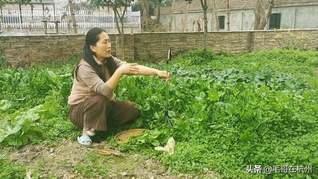 各位自媒体朋友是怎样用手机拍视频、剪辑和上传的