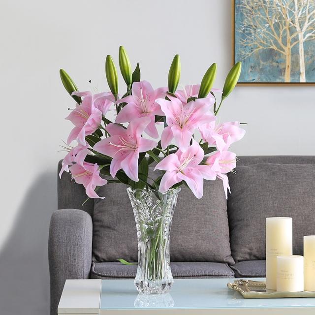 3种花是大忌千万不能养,三角梅养了两年，一直都不开花是什么原因？