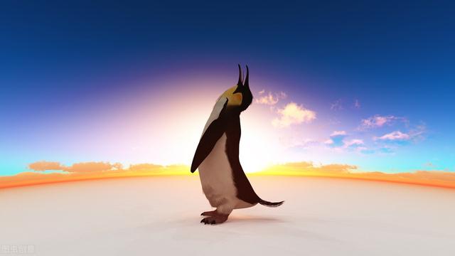 为什么企鹅被称为自然界最腹黑的动物？插图24