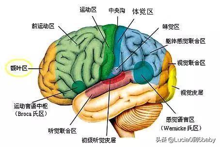 3~6岁小朋友应不应该上早教班？ 3到6岁的育儿知识 第1张