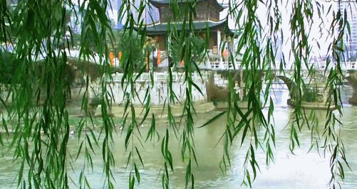 海天盛筵鳝始鳝终:请谈谈刘禹锡的《乌衣巷》表达了怎样的情怀？