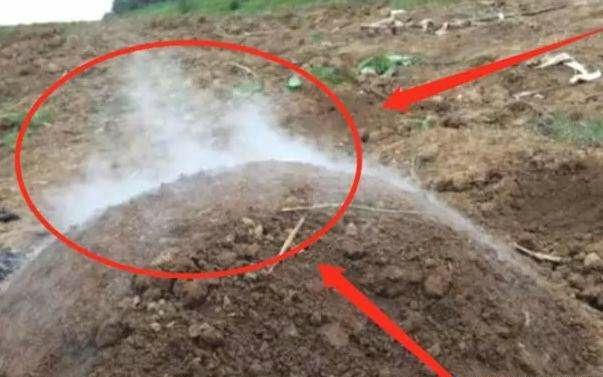 怎么判断祖坟有问题,祖坟上冒青烟是好话还是坏话？