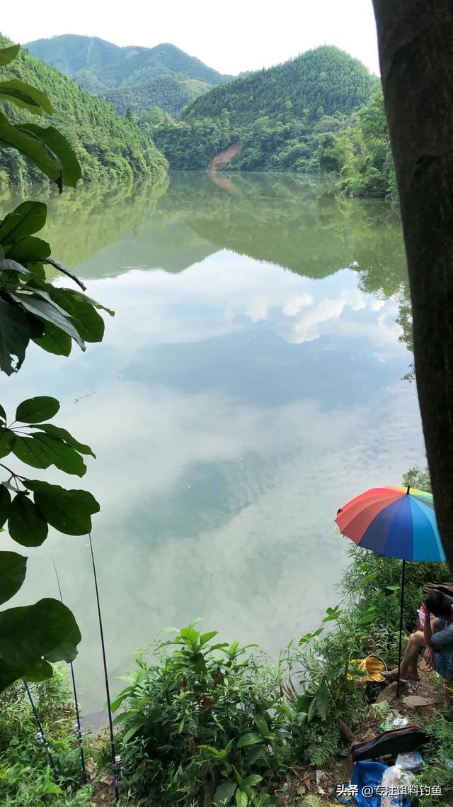 通心粉鼠对温度的要求:抛海竿为什么线总是绷不直？