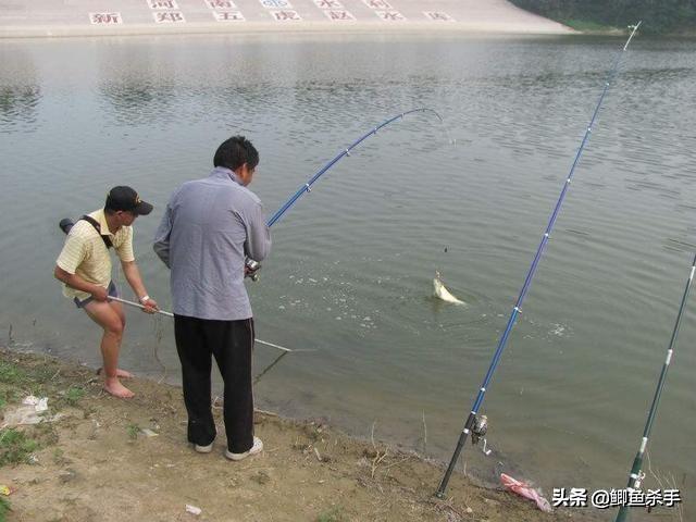 海杆串钩挂蚯蚓能钓到什么鱼 头条问答