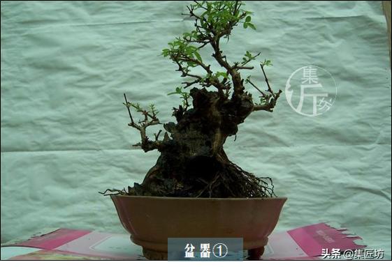 培新机械:工业机器人专业有哪些就业方向？