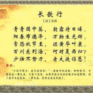 《长歌行》的诗意一至四句写了春天的什么？