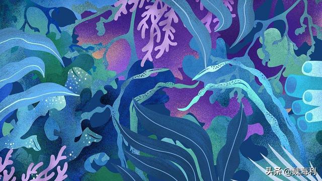 造福鸟招聘:艺术生学画画的适合找什么工作？