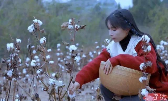 李子柒刷新世界纪录:网上关于李子柒的信息都是真实的吗