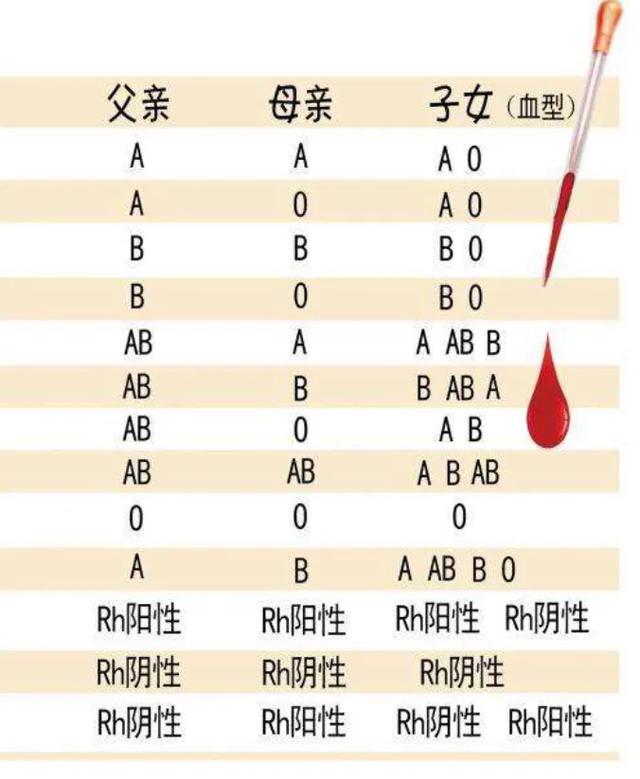 头条问答 A型血和b型血生出的孩子可能是什么血型的 为什么 衣者三又一木的回答 0赞