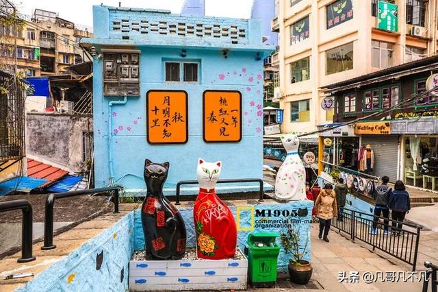 焦雅亮:准备定铂爵旅拍，什么时间去什么城市更合适？