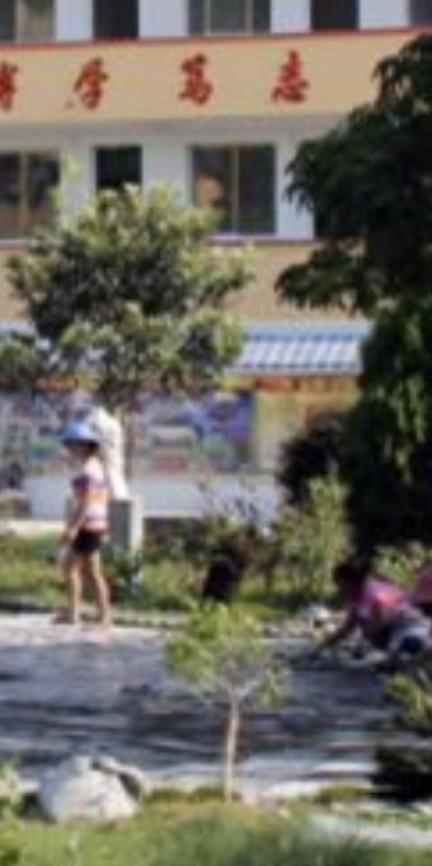 德国bunny草本兔粮官网:种植黄豆为什么底肥不能施得太多了，难道黄豆喜欢贫瘠之地？