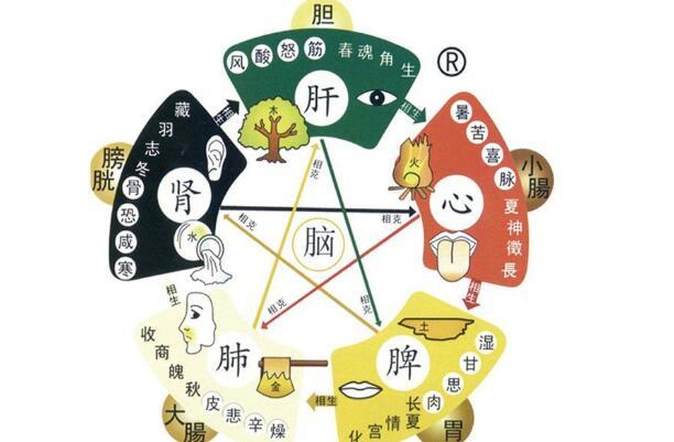 养生知识补血养颜,吃什么补气血最快?最好不上火?