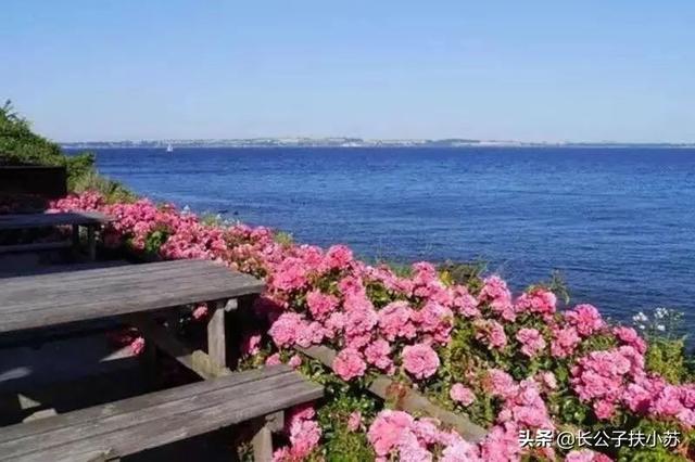 刘绍棠简介:中国近现代史上文笔最好的十位作家是谁？