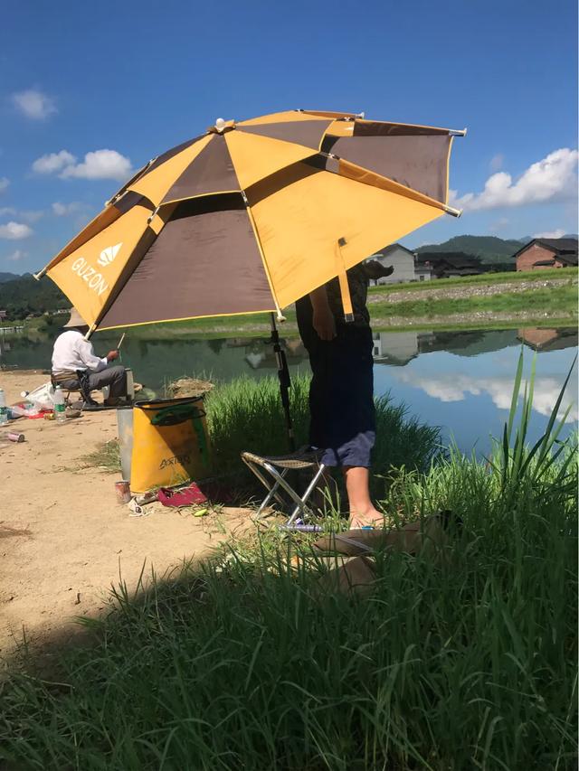 蓝环章鱼网上当宠物卖:对于家里有个爱钓鱼的老公，你怎么看？