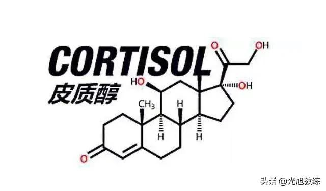 二十一天减肥方法,你是如何坚持二十一天减肥法的？