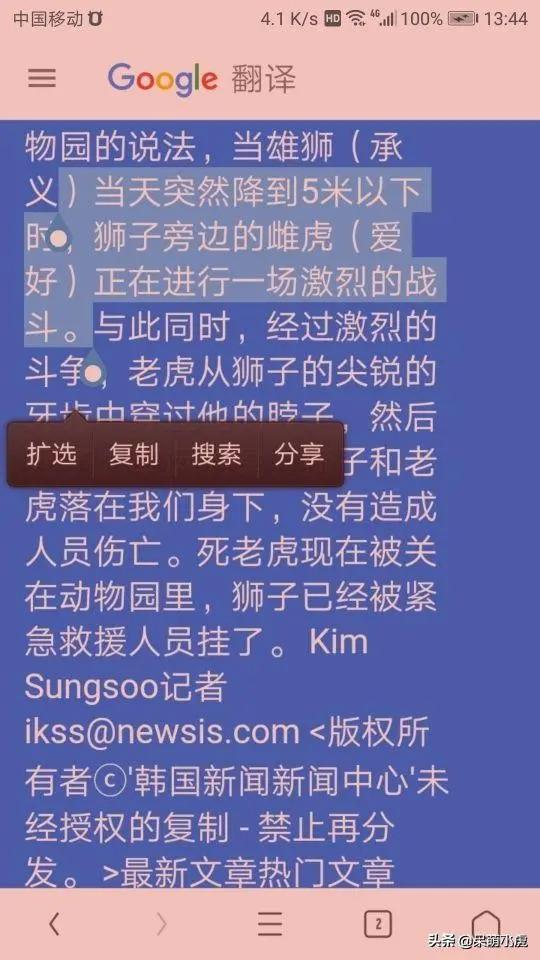 鬼獒王咬死狮子图片:雄狮和雌狮对抗一只西伯利亚虎什么结果？