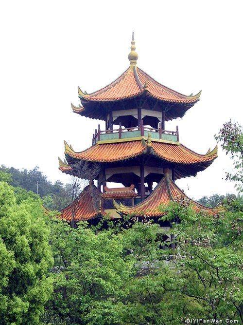 哥伦比亚盆地侏儒兔高清大图:宜昌旅游资源丰富，被称为什么？