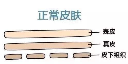 迪维霜可以去生长纹嘛:小男孩十四岁半，膝盖有生长纹还会不会长高？