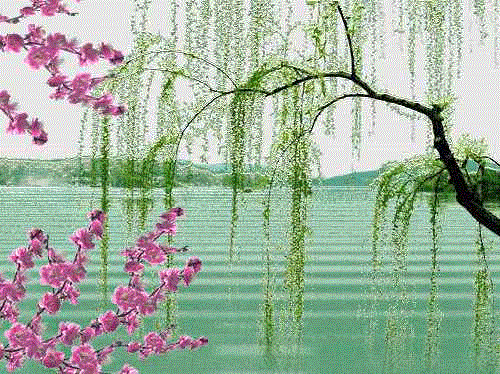 海天盛筵鳝始鳝终:请谈谈刘禹锡的《乌衣巷》表达了怎样的情怀？