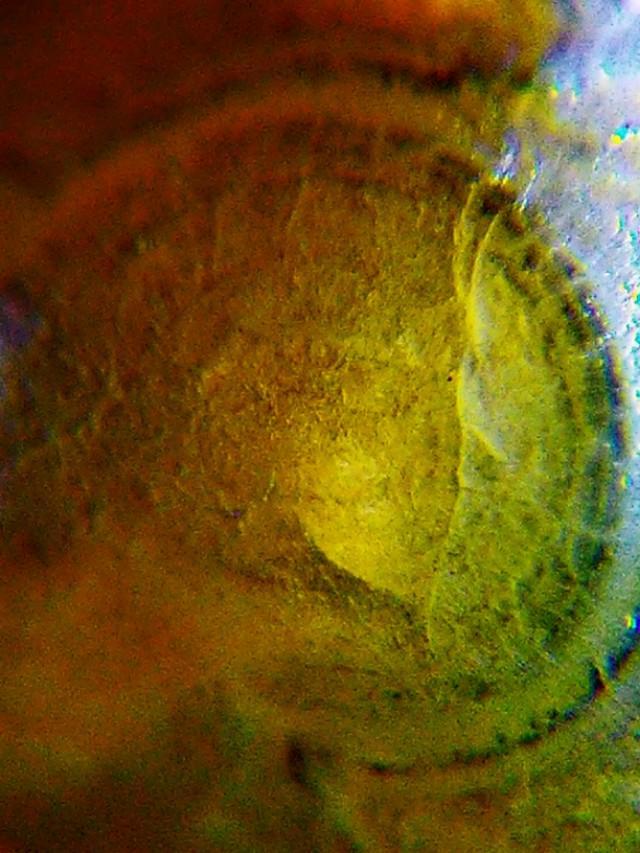 人类杀死了地球原住民:人类究竟是外来生物还是地球上的原住民？