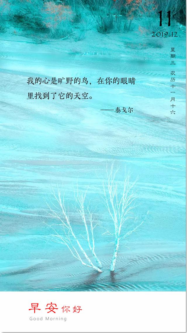 12月11早安图片日签：为梦而年轻，为梦而坚定